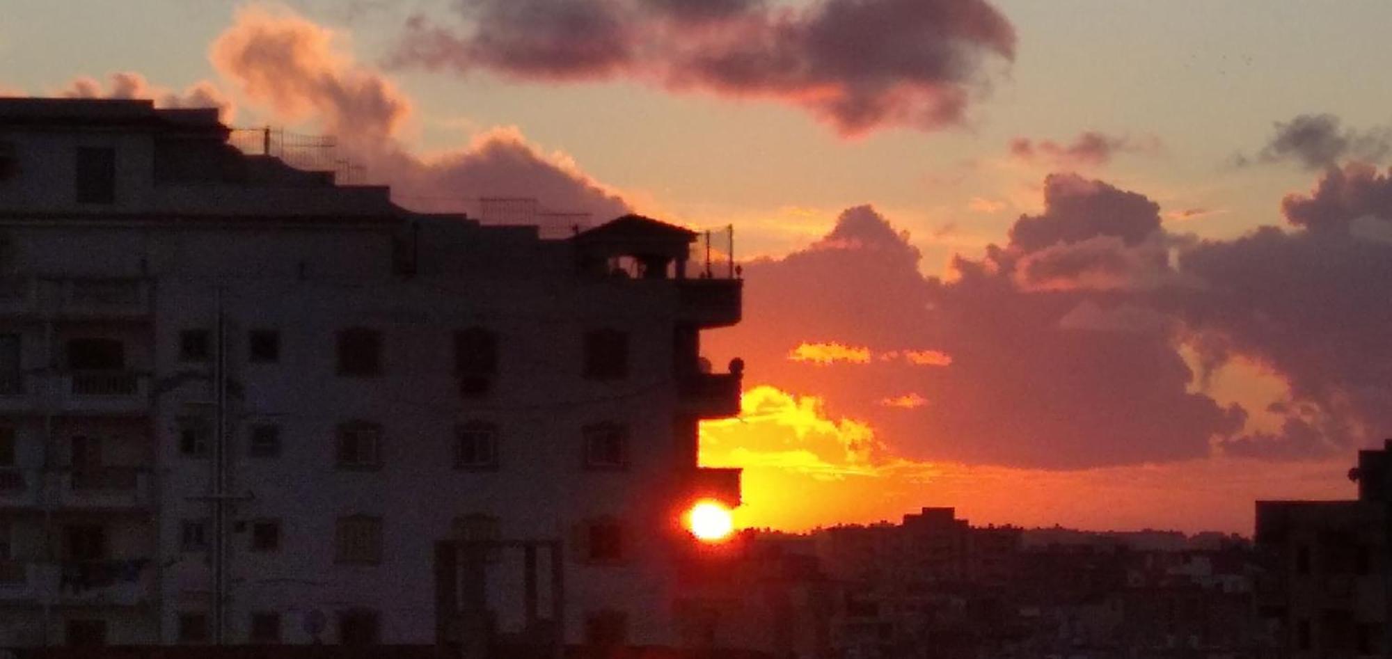 Gasthof العجمي 21 Alexandria
